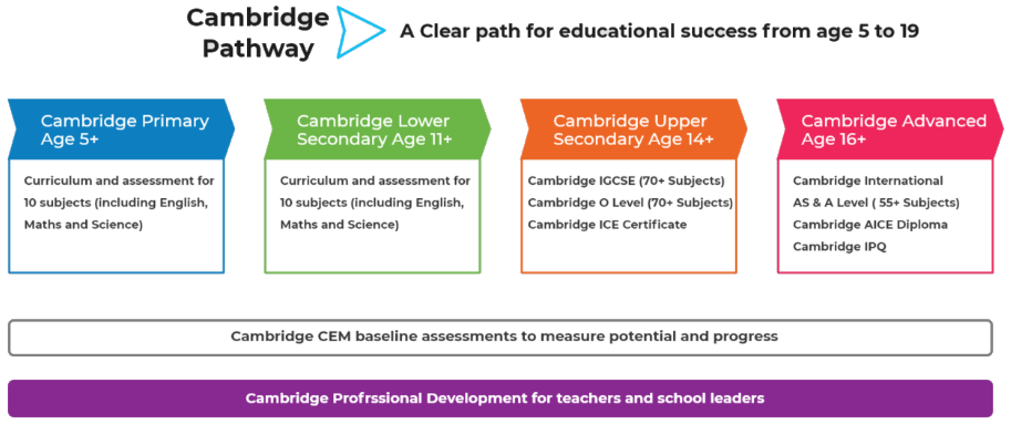 course_selection